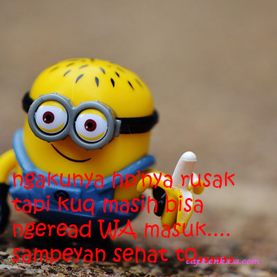 Caption DP BBM Minion Nyindir Halus Ngeread wa