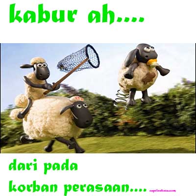 Gambar DP BBM, Meme Lucu Hewan Qurban Idul Adha Terbaru ...
