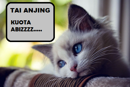 Gambar Hewan Lucu Kuota Habis