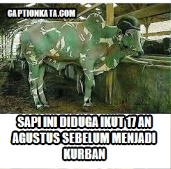 Meme Hewan Kurban Lucu Gokil Bikin Ketawa Terbahak bahak Meme Hewan Kurban Lucu Gokil Bikin Ketawa Terbahak bahak