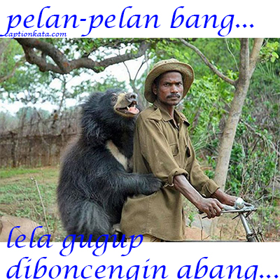 Kumpulan Gambar Meme Idul Adha5