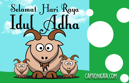 Pantun Idul Adha 1441h Lucu Ucapan Selamat Hari Raya Kurban