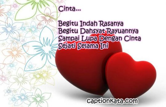 Puisi Tentang Cinta Sejati Untuk Pujaan Hati