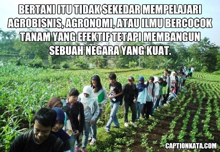 Caption DP BBM Anak Pertanian Terbaru