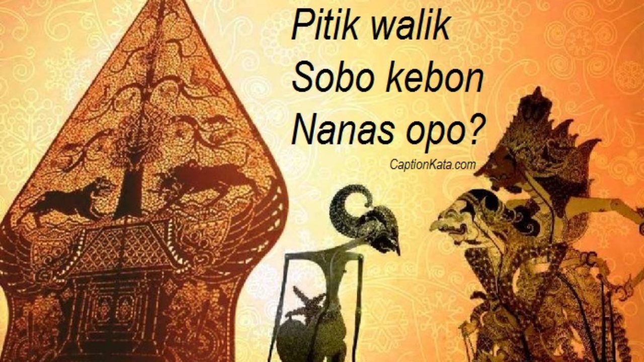 Caption Pantun Jowo Gokil Terbaru Kata Kata Bahasa Jawa Bikin