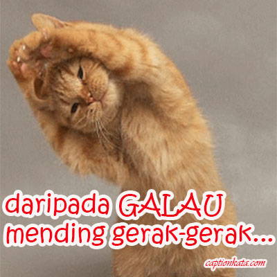 DP BBM Kucing Galau Sedang Olahraga