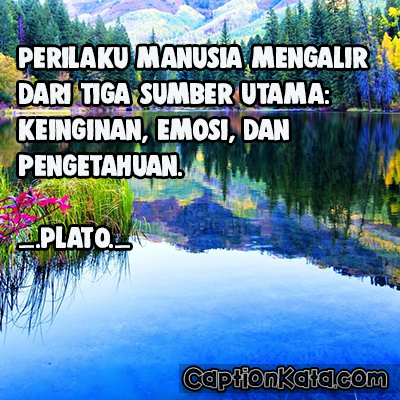 Gambar Kata Kata Plato Terbaru