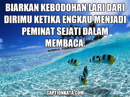 Gambar Quote Kata kata Gambar Meme Mahasiswa Ilmu Kelautan Gambar Motivasi dan Meme Terbaru Terbaru