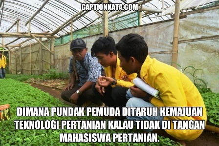 Gambar Quote Kata kata Lucu DP BBM Anak Pertanian