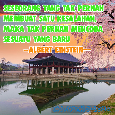 Gambar Meme Kata Bijak Tokoh Dunia Tentang Kesuksesan