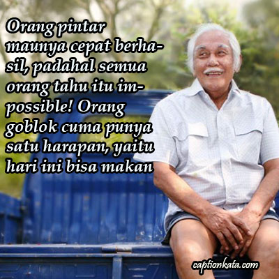 meme Bob Sadino Orang Pintar Yang Ingin Cepat Berhasil