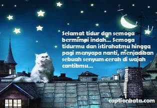 Gambar Ucapan Selamat Tidur Untuk Mantan