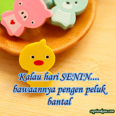 Dp Bbm Hari Senin Lucu