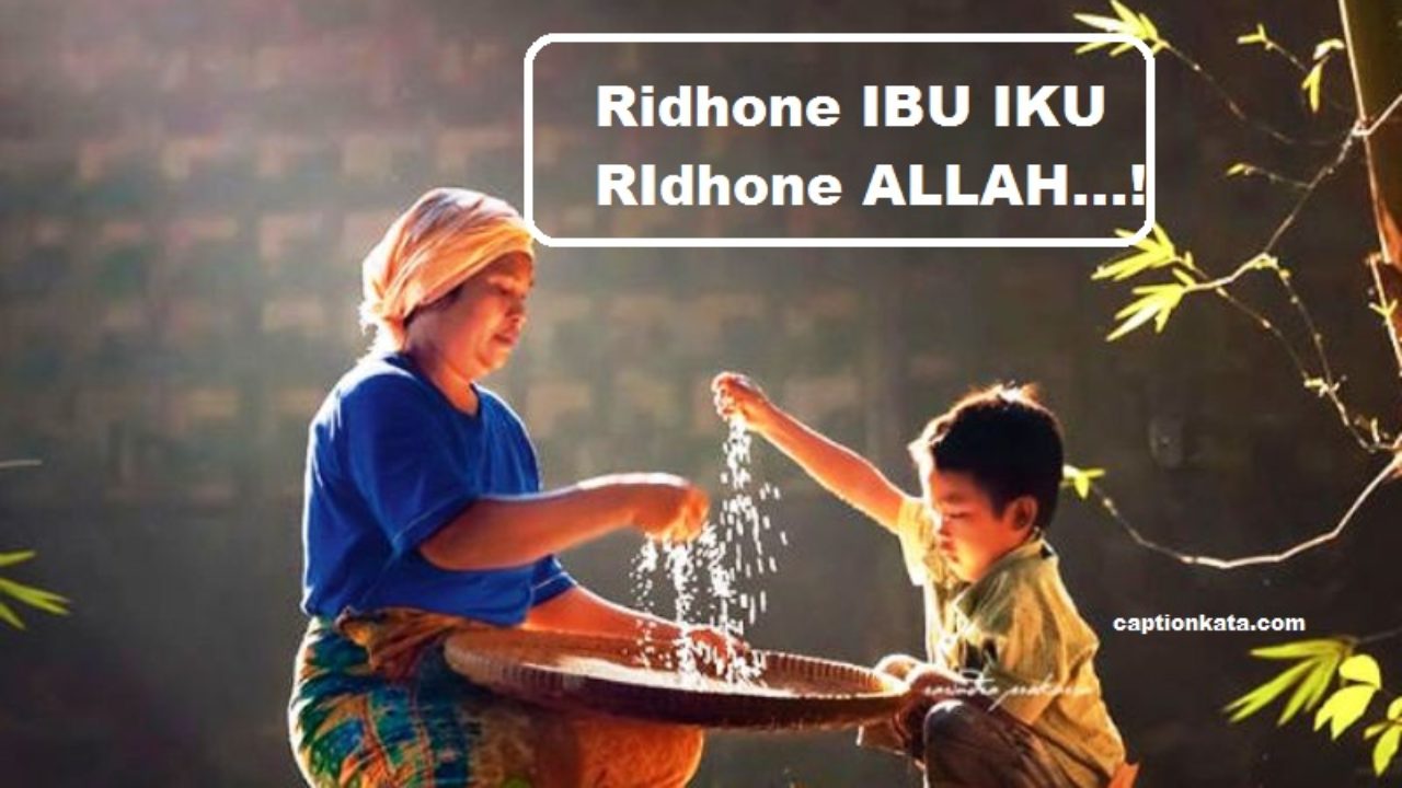 Kata Kata Mutiara Untuk Ibu Tentang Minta Maaf Captionkata