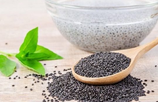 Trik Mengolah Chia Seed agar Lebih Nikmat untuk Menu Diet