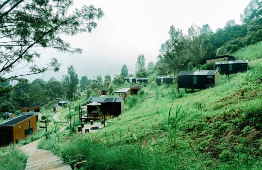 Bobocabin Puncak Gunung Mas Penginapan Glamping Terbaik untuk Pelarian Sempurna dari Hiruk Pikuk Kota