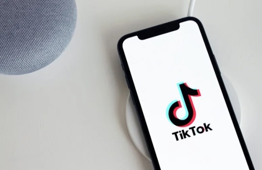 Tingkatkan Penjualan Melalui Media Sosial dengan RajaKomen, Jasa Komen dan Viral TikTok Terpercaya