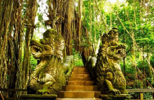 Destinasi Wisata Alam di Bali, Keindahan Tersembunyi yang Layak Kamu Kunjungi